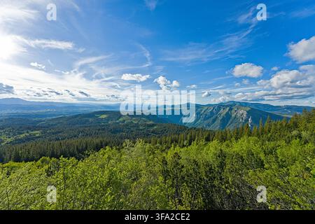 Panoramic aerial view of lush Durmitor National Park forests and mountains Stock Photo
