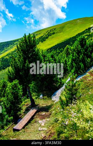 Swiss pine path and sky on Monte Altissimo di Nago in Trento, Italy Stock Photo