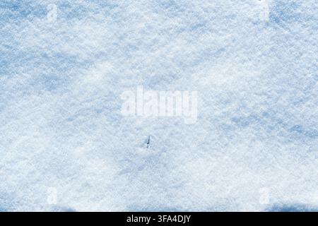 The sparkling surface of white snow, snow in the sun, a beautiful winter backdrop. Stock Photo