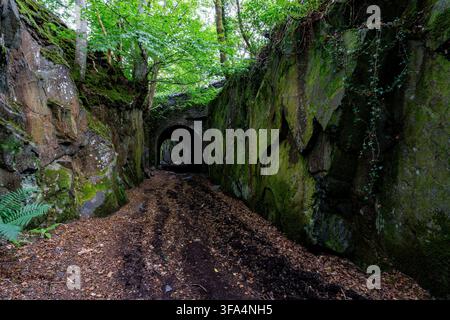 Former slate quarry tramway cutting leading into stone tunnel portal lined with trees at Dorothea Quarry in North Wales Stock Photo