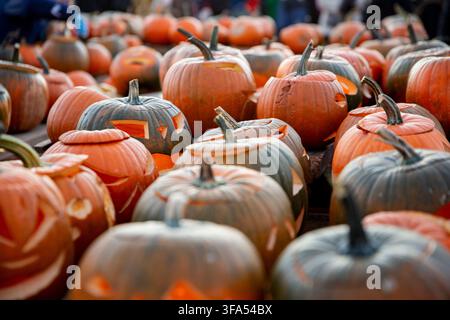 Rows of carved jack-o'-lantern pumpkins at an outdoor autumn market during sunset - Halloween pumpkin patch harvest festival scene. Stock Photo