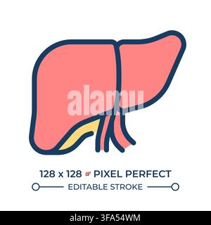 Human liver anatomy pixel perfect line color icon Stock Vector