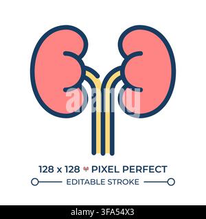 Urinary system health pixel perfect line color icon Stock Vector
