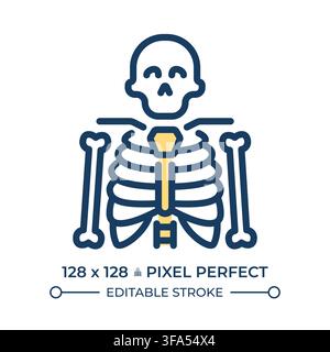 Skeletal anatomy pixel perfect line color icon Stock Vector