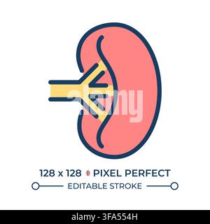 Renal wellness pixel perfect line color icon Stock Vector