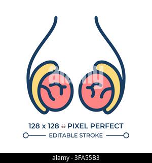 Testicular health pixel perfect line color icon Stock Vector