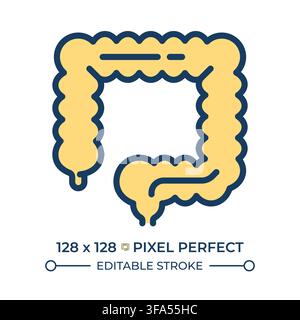 Gut health pixel perfect line color icon Stock Vector
