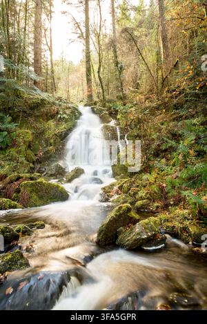 A scenic long exposure waterfall cascading over mossy boulders surrounded by autumn woodland vegetation in the Gwydir Forest area of North Wales. Stock Photo