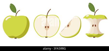 Four green apple illustrations showing stages from whole fruit to halved, sliced, and eaten core, highlighting anatomy and progression of consumption Stock Photo