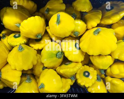 Bright yellow squash with wavy edges and green stems are stacked tightly together. A close-up highlights their decorative shape and rich color, symbol Stock Photo