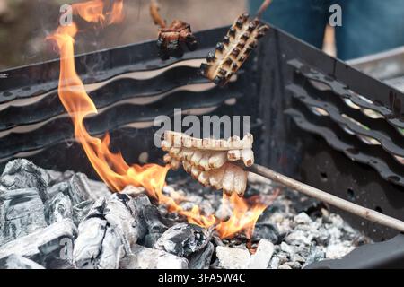 Traditional thick bacon and scoring pork lard roasting on wooden sticks over open fire pit with burning coals and bright flames during outdoor meal pr Stock Photo