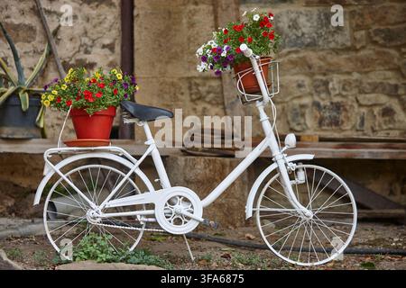 Old bike painted in white surrounded by flowers. Rural environment Stock Photo