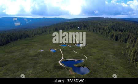 Aerial drone view of a mountain peat bog with dark natural pools connected by a wooden boardwalk trail, surrounded by dense coniferous forest under a Stock Photo