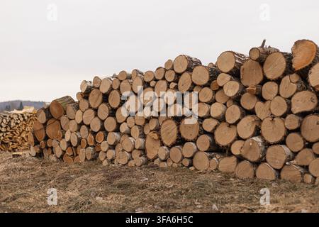 Large pile of stacked wooden logs and timber with rough bark and cut ends on dry grass under a gray overcast sky. Stock Photo