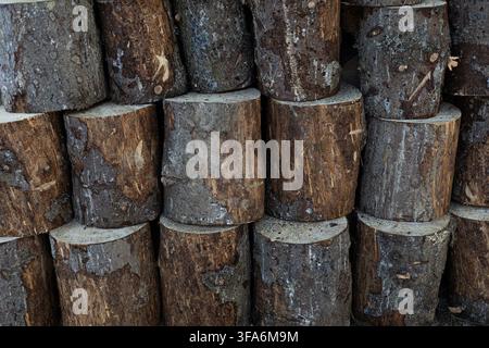 Close up of stacked wooden logs showing detailed bark textures and circular cut ends. Natural timber pile for forestry or construction. Stock Photo