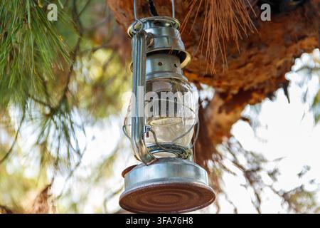 Old gas lamp hanging on a tree branch Stock Photo