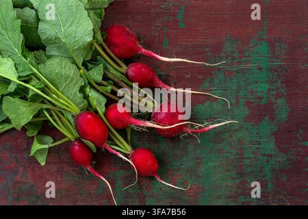 Six radishes (Raphanus sativus) with red roots and green leaves lie on a weathered wooden surface. Stock Photo