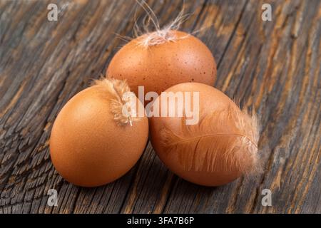 Three brown eggs, each with a feather attached, placed on a wooden surface. The eggs are arranged in a triangular formation. Stock Photo