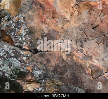 Horizontal close-up view of a boulder surface showing variegated mineral coloration with a porous fractured texture on the rock surface Stock Photo