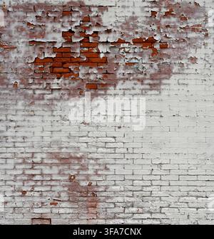 Vertical close-up view of a weathered white painted red brick wall surface with aged peeling paint revealing rough, uneven bricks and a loose brick Stock Photo