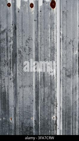 Close-up of a painted white corrugated galvanized tin surface with distressed worn paint revealing metal with rusted nail holes Stock Photo