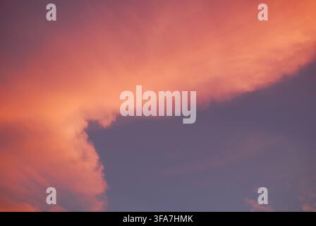Beautiful evening sky view featuring fluffy cumulus clouds illuminated by the setting sun in vivid shades of pink and orange, contrasting against a so Stock Photo
