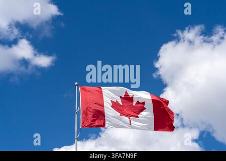 A National Flag of Canada waving against a blue sky with white clouds. Stock Photo