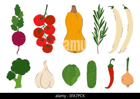Farm fresh organic vegetables vector set. Healthy vegan food icons, hand drawn flat style. Organic autumn farm fresh produce. Vector illustrations for Stock Vector