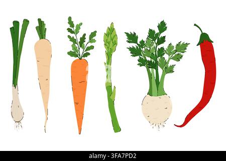 Fresh Vegetables Vector Icons Set. Organic farm food, healthy eating produce. Hand drawn garden vegetables. Flat minimal vegan food. Root vegetables Stock Vector