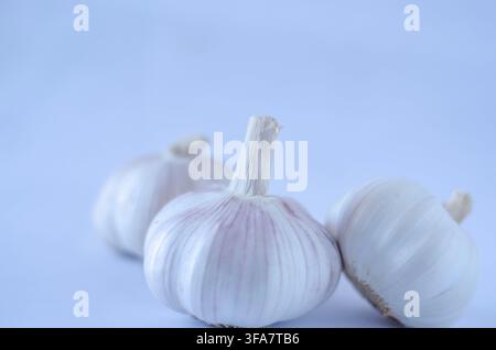 Three Whole Garlic Bulbs on a Light Blue Background Stock Photo