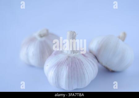 Three Whole Garlic Bulbs on a Light Blue Background Stock Photo