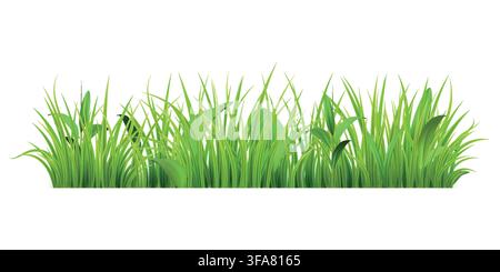 3d grass. Easter green blade plants, leaf vegetation on nature spring field. Garden herb border, summer fresh farm life meadow. Agricultural garden meadow element. Vector icon realistic isolated set Stock Vector