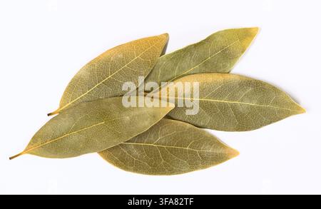 Dried Bay leaves scattered on white background herbs and spices cooking ingredient. Stock Photo