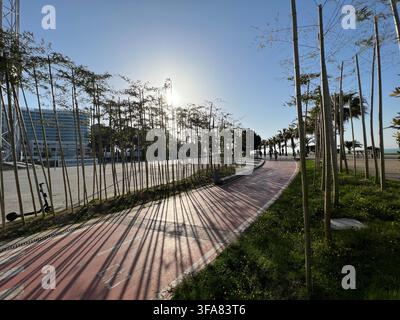 Long shadows of bamboo stems on a wooden boardwalk in the afternoon sun. Stock Photo