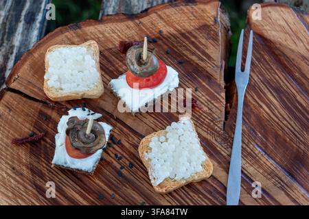 Exquisite restaurant catering snacks feature cooked mollusk flesh on bread slices with white round eggs topping served outdoors near metal fork during Stock Photo