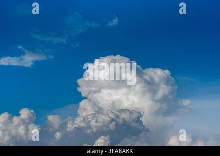 Low angle view of white fluffy cumulus clouds building up in a bright blue sky, showing strong vertical development before a summer storm. Stock Photo