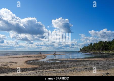 Sandy coast and shallow waters at Cape Kolka, Latvia, with cyclists, coastal forest and dramatic cumulus clouds over the calm Baltic Sea Stock Photo