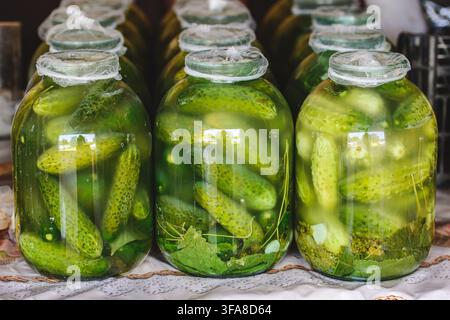 Traditional homemade pickled cucumbers preserved in large glass jars with fresh dill and spices Stock Photo