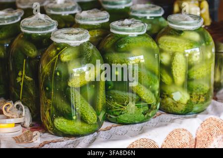 Traditional homemade pickled cucumbers preserved in large glass jars with fresh dill and spices Stock Photo