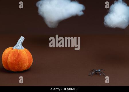 A single orange velvet pumpkin beside a small black spider on the ground, with two fluffy white cotton clouds floating above against a dark brown back Stock Photo