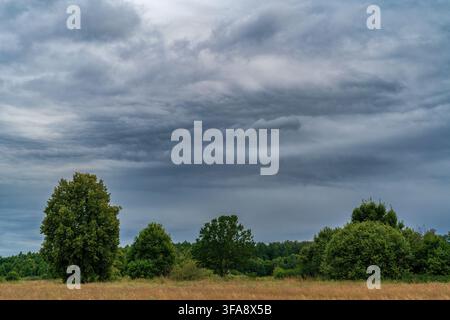 Dramatic storm clouds over a green countryside meadow and trees Stock Photo