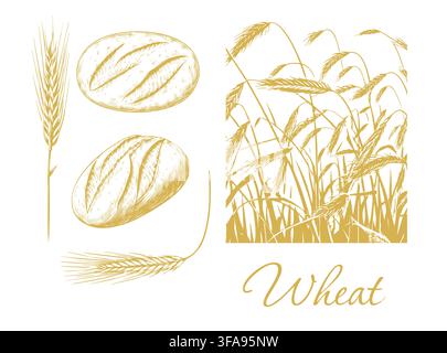 Graphic silhouettes of grain ears . Wheat and Bread Hand drawn. Not AI, vector illustration. Stock Vector