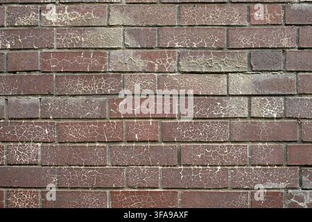 August 2021 - Blue engineering brick wall as a background and texture Stock Photo