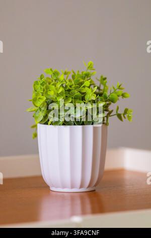 Small artificial potted plant with bright green leaves resting in a white textured pot on a wooden table against a plain light gray wall background Stock Photo