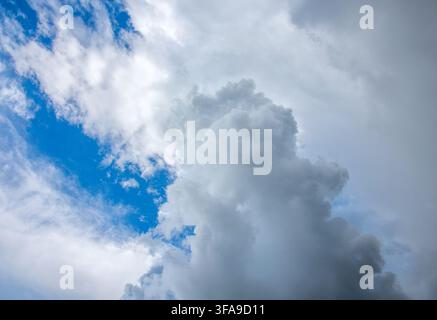 Large vertical cumulus cloud growing against a blue sky backdrop, signaling changing weather conditions and incoming storm development. Beautiful natu Stock Photo