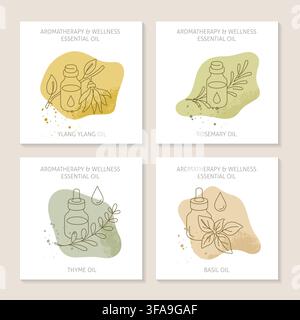 Aromatherapy Essential Oils Collection Ylang Ylang Rosemary Thyme Basil Wellness Stock Vector