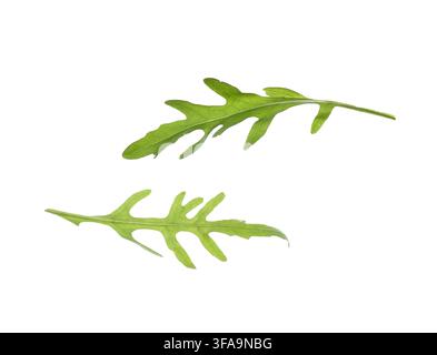 Flying arugula leaves isolated on white background, closeup Stock Photo