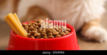 Pet nutrition and healthy diet, dry kibble and chew sticks in a red bowl with a cat in the background Stock Photo