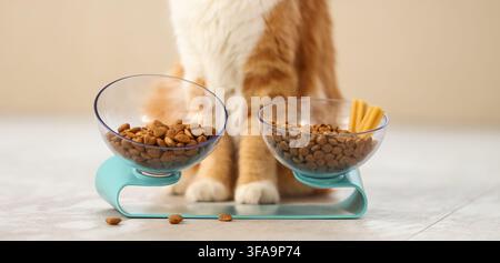 Pet nutrition and healthy eating for cats, dry food and treats in elevated bowls with an orange cat in the background Stock Photo