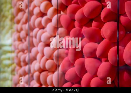Dense display of red, pink, and yellow makeup sponges stacked behind glass panels. Cosmetic tools, retail merchandising, beauty products concept. Stock Photo
